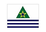 Bandeira do Município de Figueirópolis d`Oeste