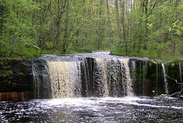 La Salle Lake State Recreation Area - Wikipedia