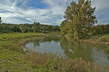 Lippeaue von Stockum bis Werne