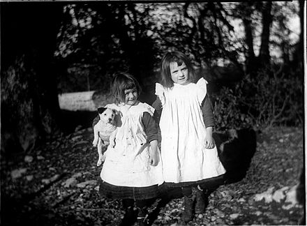 Two girls wearing pinafores, Ireland, circa 1903