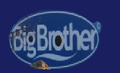 Big brother logo.png