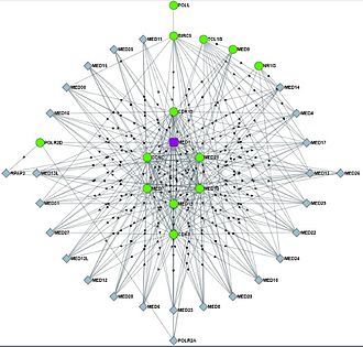 The interaction network of MED1, one of the subunit of the Mediator complex. BioPlexMed1c.jpg