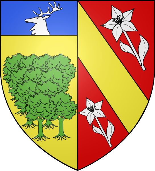 File:Blason Famille Boys d'Hautussac de Pravieux.svg