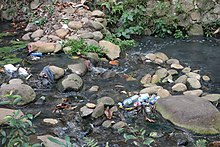 Bogor Botanical Garden plastic 2018.jpg