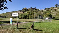 Anlegestelle der Neckarschifffahrt. Siehe: https://neckar-kaeptn.de/. Im Hintergrund: Schloss Kleiningersheim