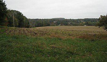 Das Foto zeigt eine Ansicht von einem Hügel mit Feldern, die in Richtung bewaldetes Gelände abfallen, und Stromleitungen auf der linken Seite.