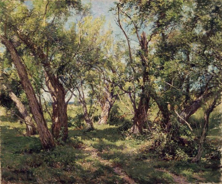 File:Brooklyn Museum - The Willows - Hugh Bolton Jones - overall.jpg