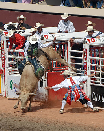 Calgary White Hat