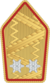 Бундешир - Дәрежелік айырым белгілері - Generalmajor.png