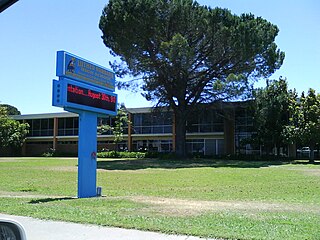 <span class="mw-page-title-main">Luther Burbank High School (California)</span> Public school in Sacramento, California, United States of America