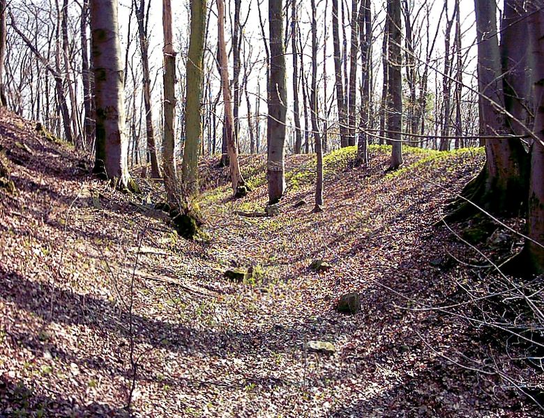 File:Burg Bramberg.jpg