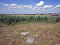 wikimedia_commons:1=File:CH21 Boundary Stone, Hooe Level (2).jpg