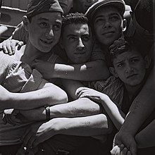 Young Holocaust survivors aboard the refugee ship Mataroa arrive in Haifa port, July 1945 CHILDREN, HOLOCAUST SURVIVORS, ON BOARD THE REFUGEE SHIP "MATAROA" IN THE HAIFA PORT. yldym, nyTSvly SHvAh, mgy`ym lnml KHyph `l gbyy Avnyyh brytyt.D820-066.jpg