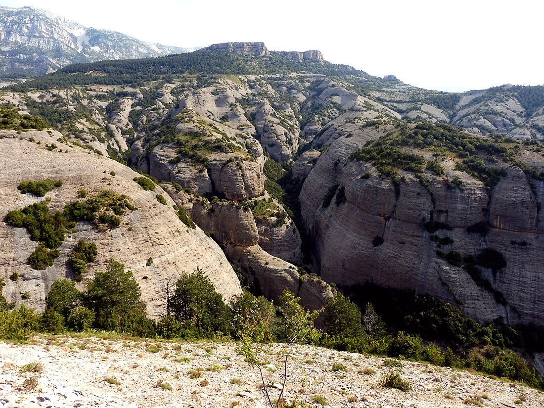 Torrent de Junts