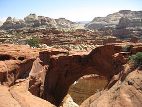 Cassidy Arch, Capitol Reef National Park.JPG