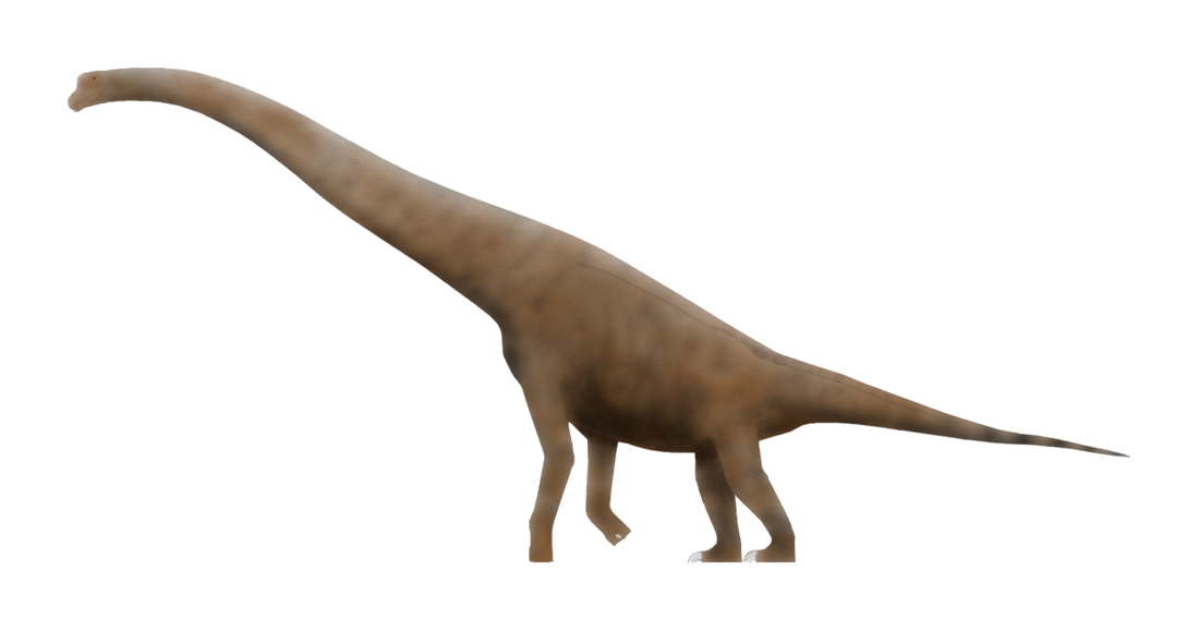 Cedarosaurus