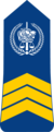 Tchad-Gendarmerie-OR-7.png
