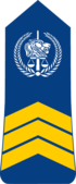 Csád-csendőrség-OR-7.png