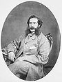 Charles-René-Léonidas d'Irumberry de Salaberry (1820-1882)