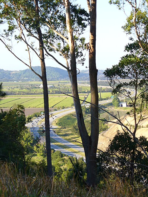 From the hill, showing the Chinderah-Yelgun section of the highway as it sweeps through the Tweed Valley.