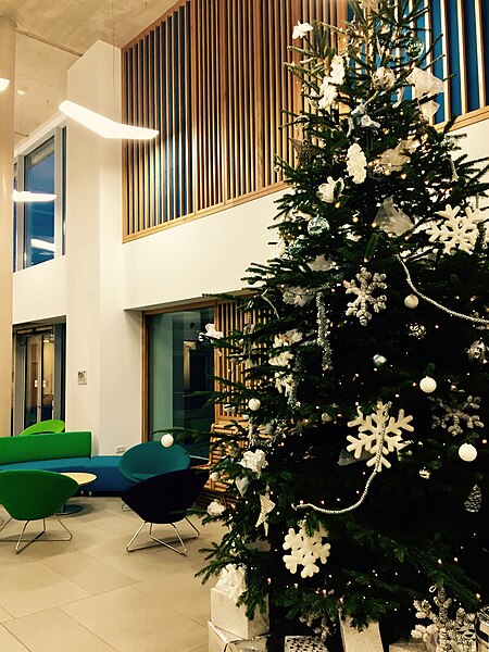 File:Christmas Tree, Atrium Cafe, Newman University, Birmingham.jpg