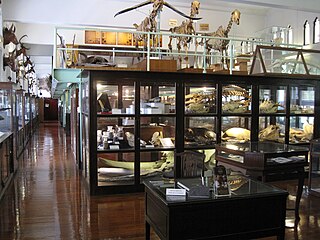 <span class="mw-page-title-main">Chulalongkorn University Museum of Natural History</span>