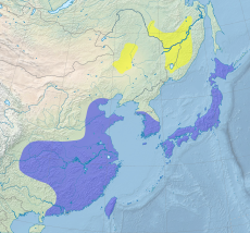 Rozšíření čápa východního ve východní Asii (ve žluté oblasti hnízdí, v modré nikoli)