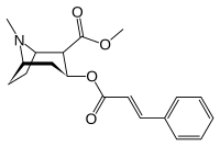 Image illustrative de l’article Cinnamate de méthylecgonine