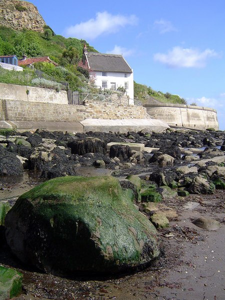 File:Coastal Cottage, Runswick Bay - geograph.org.uk - 455304.jpg