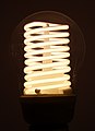 * Nomination an illuminated compact fluorescent lamp (CFL) of the cold cathode variety. The spiraled tube is thinner and longer than the tube on a standard (hot cathode) CFL by User:Gazebo --193.171.152.104 06:54, 28 April 2020 (UTC) * Promotion Good quality. --Kritzolina 20:30, 2 May 2020 (UTC)