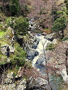 L'Erco en amont du pont de Cuccia.