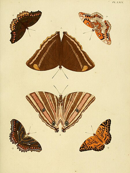 File:Cramer&Stoll-uitlandsche kapellen vol. 1- plate 069.jpg