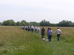 Überqueren der Wiesen im Naturschutzgebiet Ditchford Lakes - Juni 2009 - panoramio.jpg