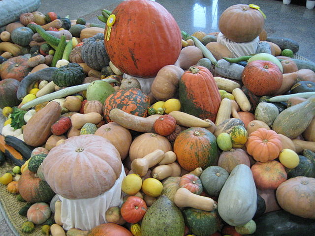 A selection of cucurbits of the South Korean Genebank in Suwon