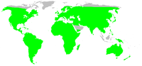 Miniatura per Llista d'espècies de filodròmids