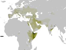 Distribution Haplogroupe T Y-ADN II.svg