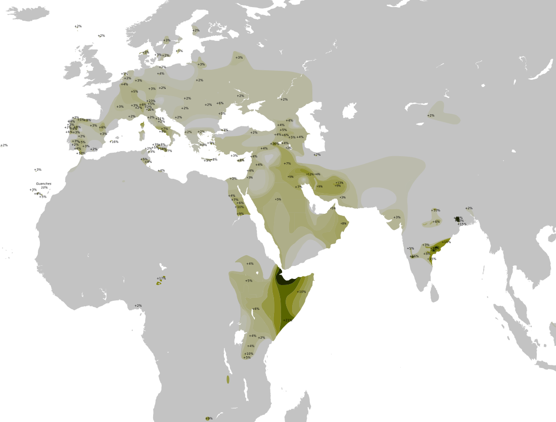 Haplogruppe T (Y-DNA)