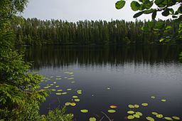 Djupasjön juli 2013.