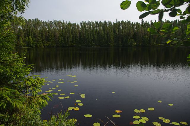 Djupasjön i Gislaveds kommun i Småland, Sverige.