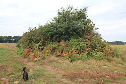 A Dolmen de Nelhouët cikk illusztráló képe