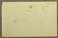 Drawing, Cows, 1844 (CH 18194519).jpg