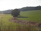 Drneckýbeek nabĳ het dorp