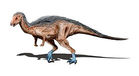 Ceratosauruksen (ylhäällä) ja Dryosauruksen (keskellä) luurangot.