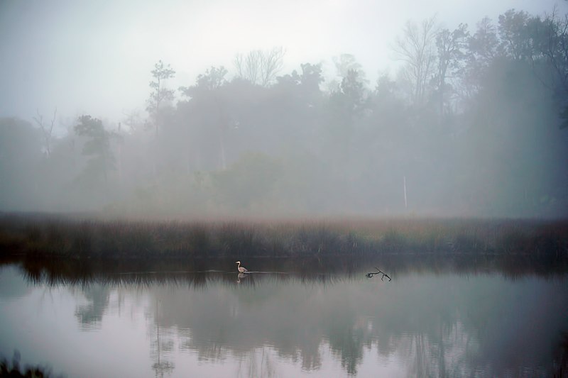 File:Early morning fog at the Davis Bayou National Park.jpg