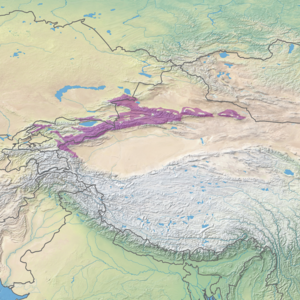 Ecoregion hududi (binafsha rangda)