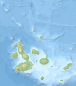 Fernandina (Galápagos-Inseln)