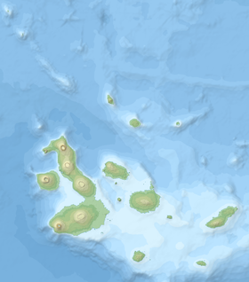 Caleta Tortuga Negra ubicada en Islas Galápagos