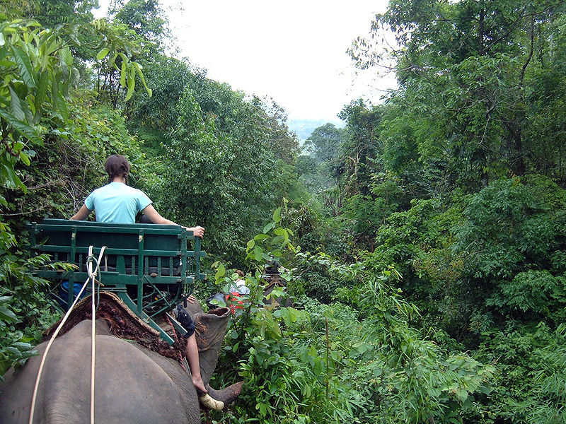 File:Elephant ride in Chiang Rai Province 2007-05 14.JPG