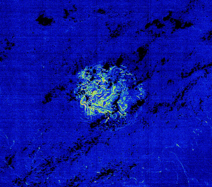 File:Envisat image of a patch of Sargassum.jpg