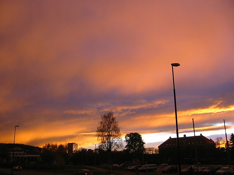 File:Etter solnedgang, Tøyen, Oslo 01.jpg